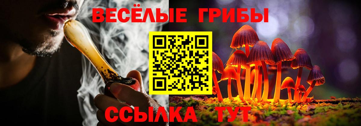 Галлюциногенные грибы MAGIC MUSHROOMS Россошь