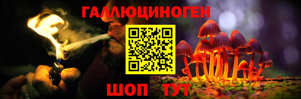 Россошь  Псилоцибиновые грибы Psilocybe  Вход с VPN 